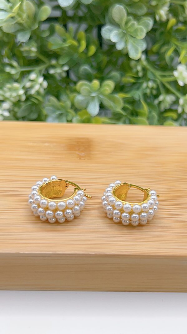 earring